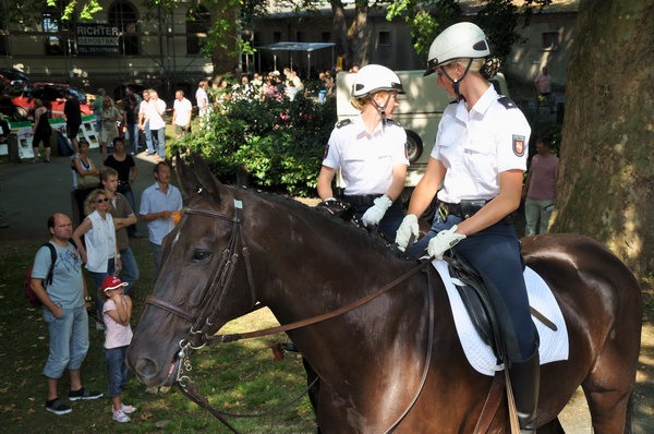 Polizeidirektion   136.jpg